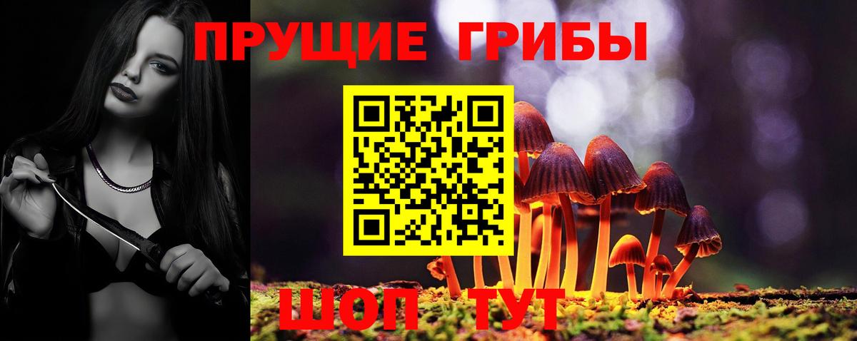 Псилоцибиновые грибы MAGIC MUSHROOMS  Вход с VPN  Дербент 