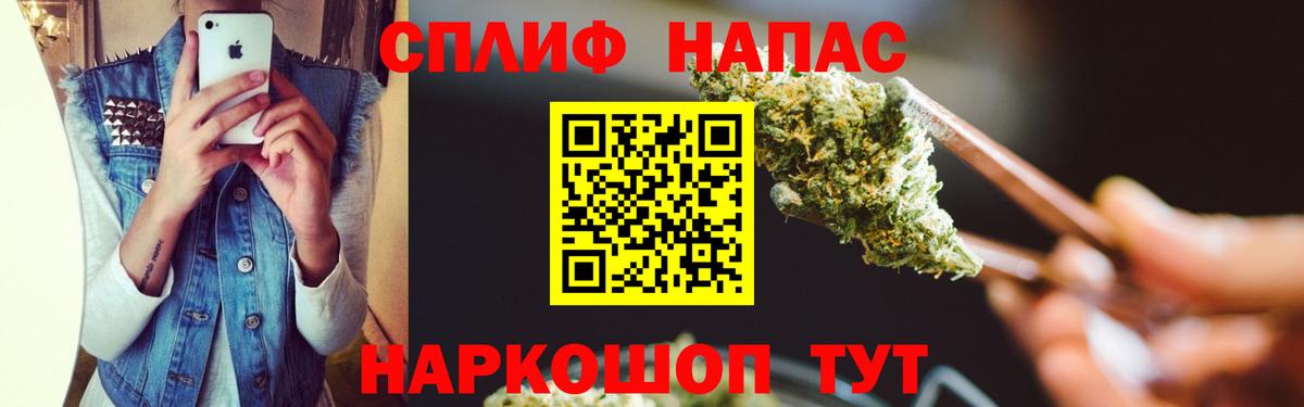 Марихуана сатива Дербент